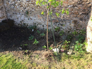 potager-greener-family