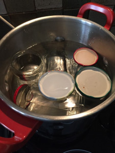pots stériles