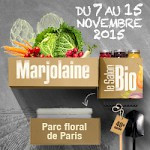 salon marjolaine