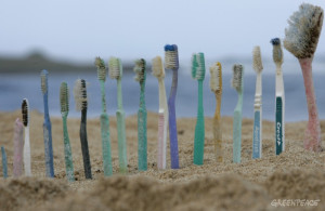 20061026 HONOLULU, HAWAI : UNITED STATES OF AMERICA Toothbrushes are lined up on Kahuku beach, Honolulu, Hawaii, 26th October 2006. Greenpeace are highlighting the threat that plastic poses to the world's oceans. GREENPEACE / ALEX HOFFORD source : http://www.greenpeace.org/international/en/news/features/trashing-our-oceans/
