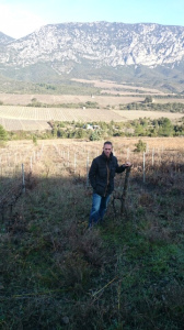 proprietaire-vigne