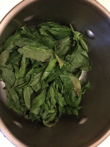 infusion-de-menthe