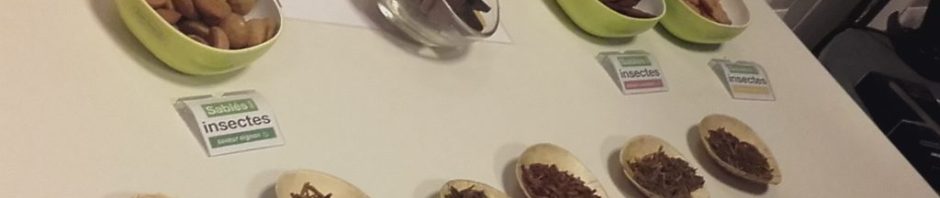 IdeasDays-micronutris-insectes