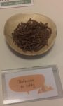 Ideasdays-micronutris-tenebrions-curry