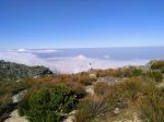 table montain