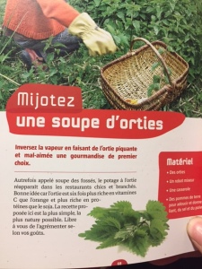 soupe orties